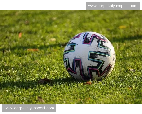 探索全球最专业的体育足球官网——b体育足球官方网站